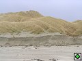 thn_Steward Island 024.jpg